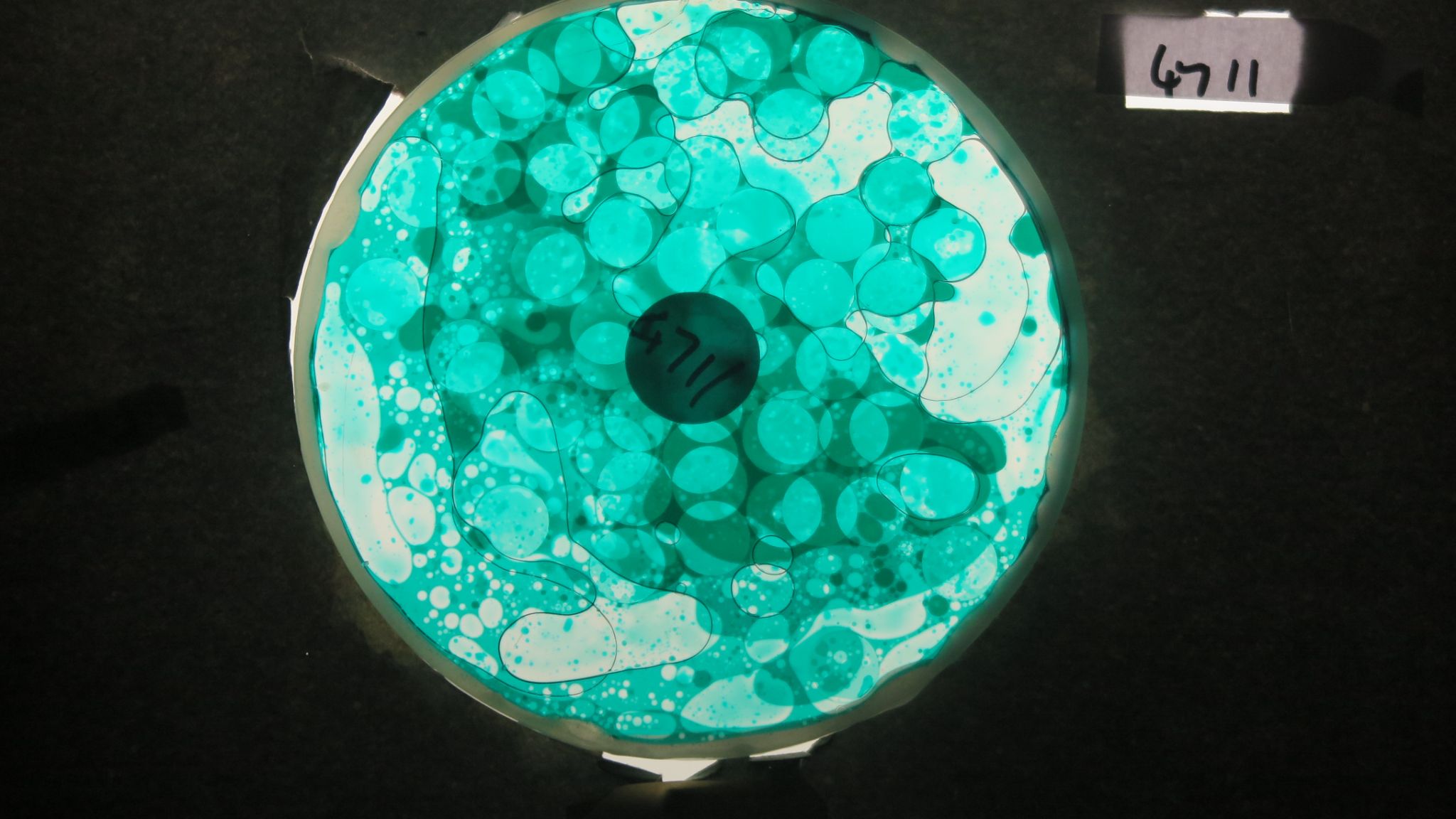 BV4711 bubble vision oil wheel